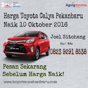 Harga Toyota Calya Pekanbaru Naik 10 Oktober